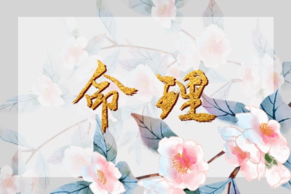 老皇历 择吉老皇历 择吉皇历
